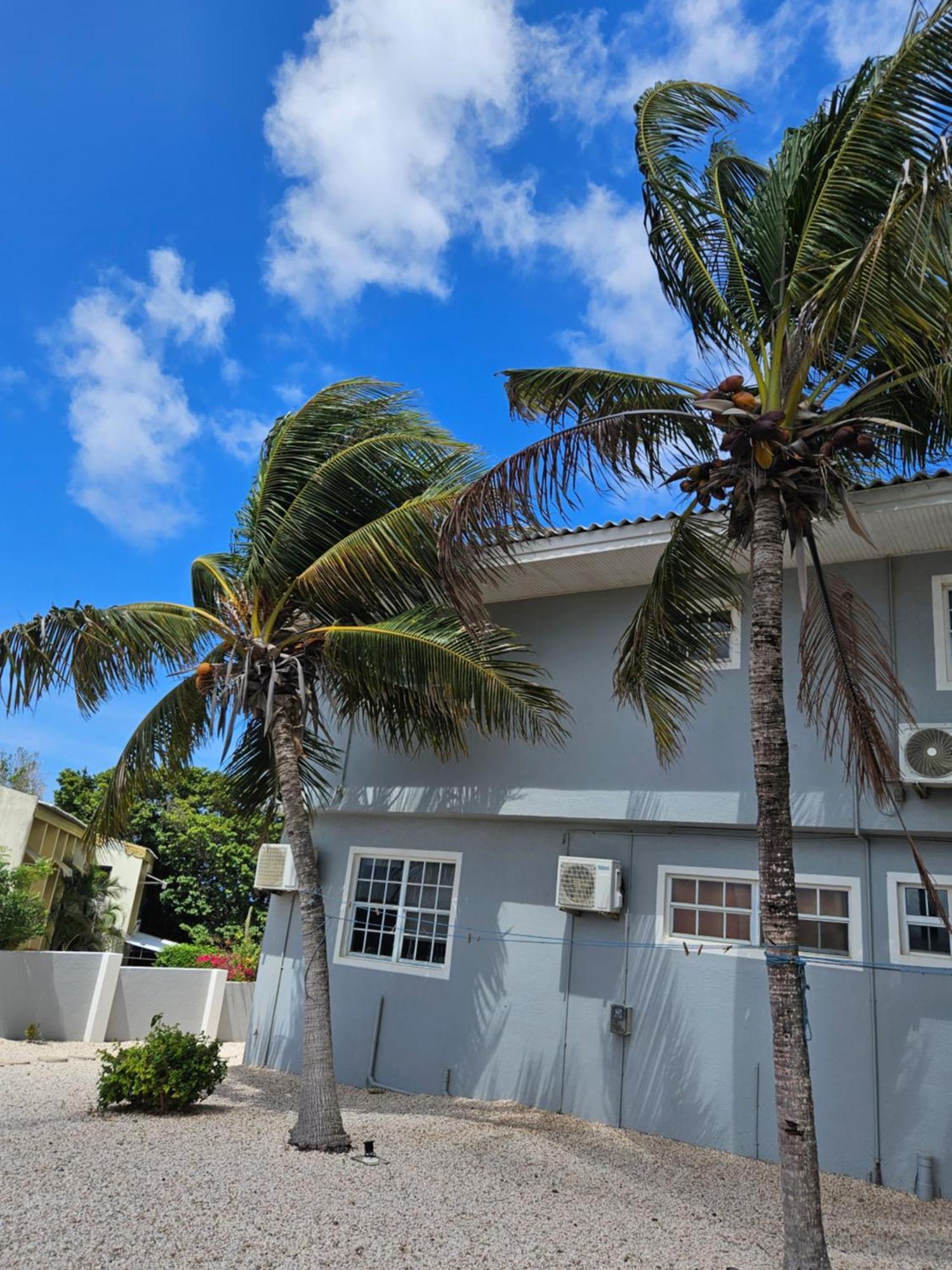 Villa Raven'S Paradise Willemstad Exterior foto